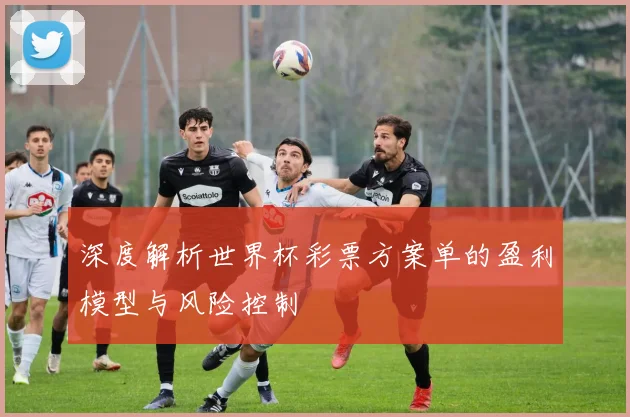 深度解析世界杯彩票方案单的盈利模型与风险控制